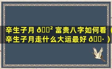 辛生子月 🌲 富贵八字如何看（辛生子月走什么大运最好 🌷 ）